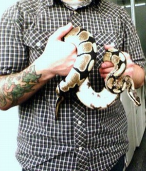 Googleplex Python Kaiser found