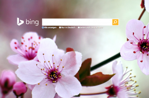 Das neue Bing-Feature Bing Interests ist da