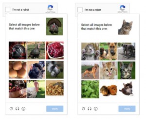 Google-Captcha Katzenbilder